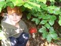 gal/2010/11 Vysocina/_thb_P1070699.JPG